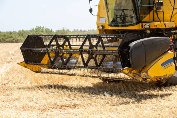 istock Combine harvester harvesting barley fields 1401399682