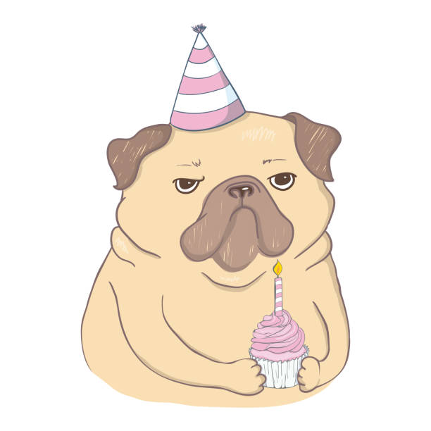 Happy Birthday Pug Illustrations, Royalty-Free Vector Graphics & Clip Art -  iStock