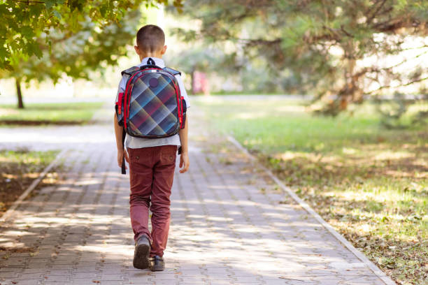 istock A schoolboy with a backpack going to school outdoors. Back to school 1401402687