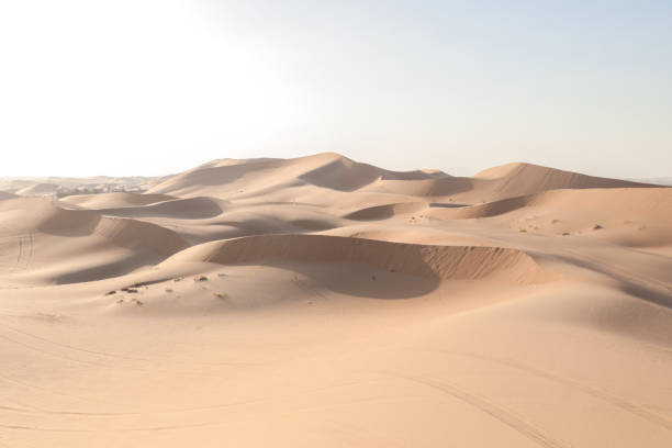 Desert dunes at sunset with scenic view