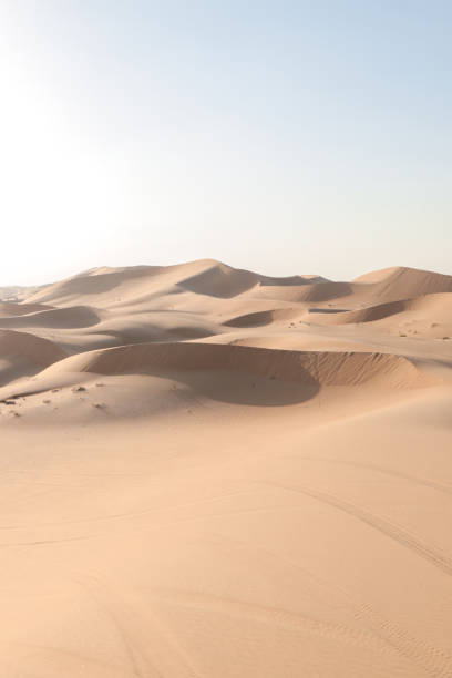 istock Desert dunes at sunset with scenic view 1401403477