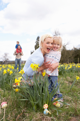 Family On Easter Egg Hunt In Daffodil Field Laughing and Playing Around