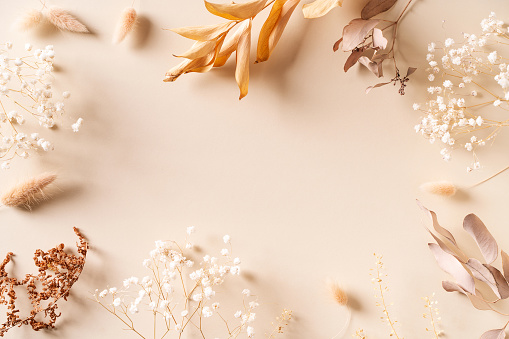 Dry natural grass, leaves and flowers frame, beauty and fashion concept mock up on beige background flat lay, top view, copy space