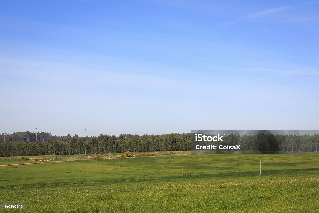 Céu azul sobre verde simples campo em Portugal - Foto de stock de Agricultura royalty-free