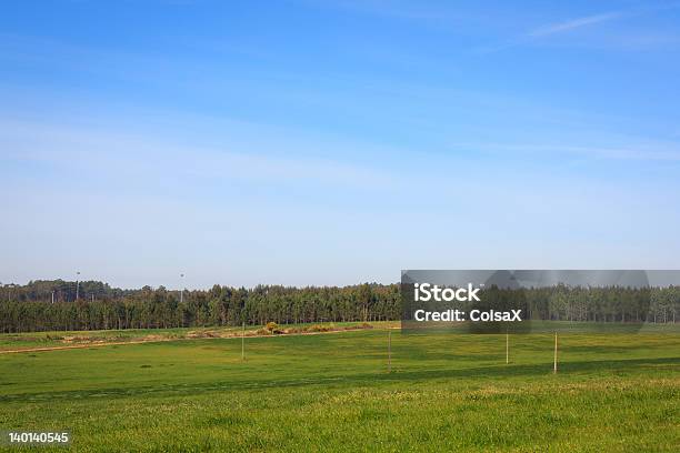 Foto de Céu Azul Sobre Verde Simples Campo Em Portugal e mais fotos de stock de Agricultura - Agricultura, Ajardinado, Azul