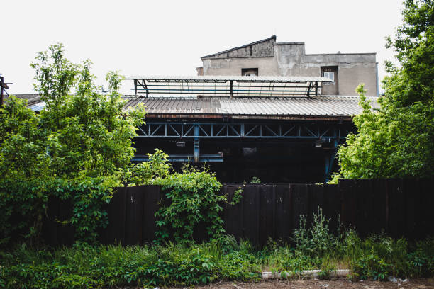 istock Industrial zone with trees growing over - economic bankrupt 1401405801