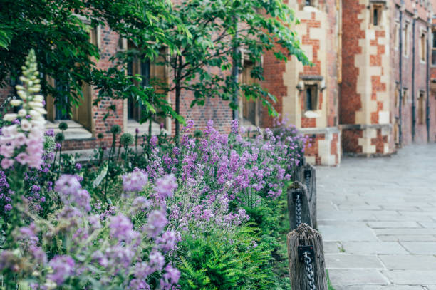 st johns college cambridge city centre - st johns college imagens e fotografias de stock