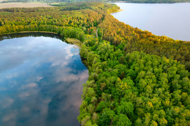 istock Wierzchowo Lake 1401407528
