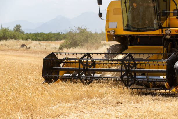 istock Combine harvester harvesting barley fields 1401409478