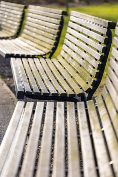 Picture taken in sunny day, harsh light condition