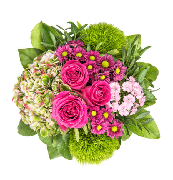istock Bouquet fresh pink roses decoration white background 1401415429