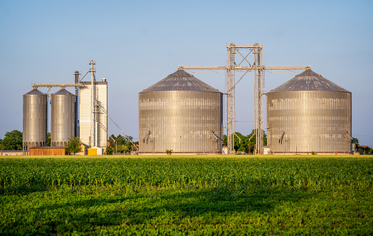 Silos for storing grain after the harvest. Agronomic and industry