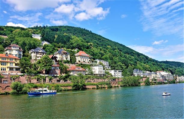 istock Germany. June. Neckar river at Heidelberg city. 1401419995