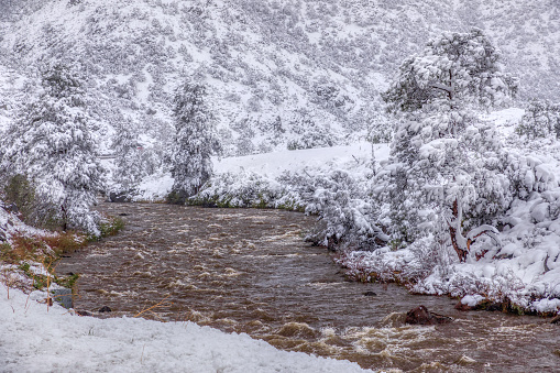 Snow storm on the Arkansas River in Colorado , late spring storm near Canon City