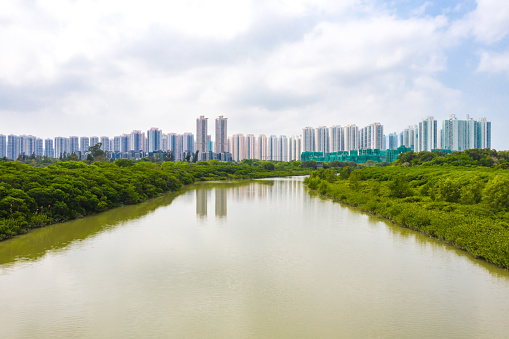 High rise apartments above river of wetland park in Tin Shui Wai, Hong Kong