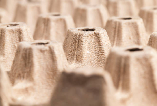 istock containers for food chicken eggs, closeup 1401425022