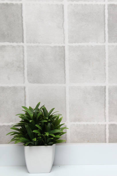 istock White pots with green plants on a white background with gray squares as a minimalist desktop or kitchen background 1401425330