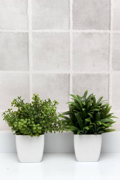 istock White pots with green plants on a white background with gray squares as a minimalist desktop or kitchen background 1401425343