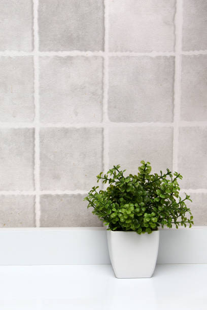 istock White pots with green plants on a white background with gray squares as a minimalist desktop or kitchen background 1401425441