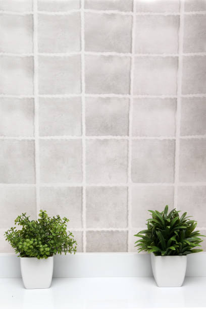 istock White pots with green plants on a white background with gray squares as a minimalist desktop or kitchen background 1401425871