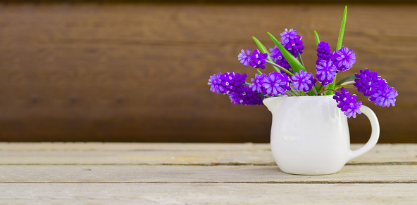 Banner with a single small ceramic white vase-jar with fresh blooming purple-blue muscari flowers, standing on a wooden table with space for copying.
