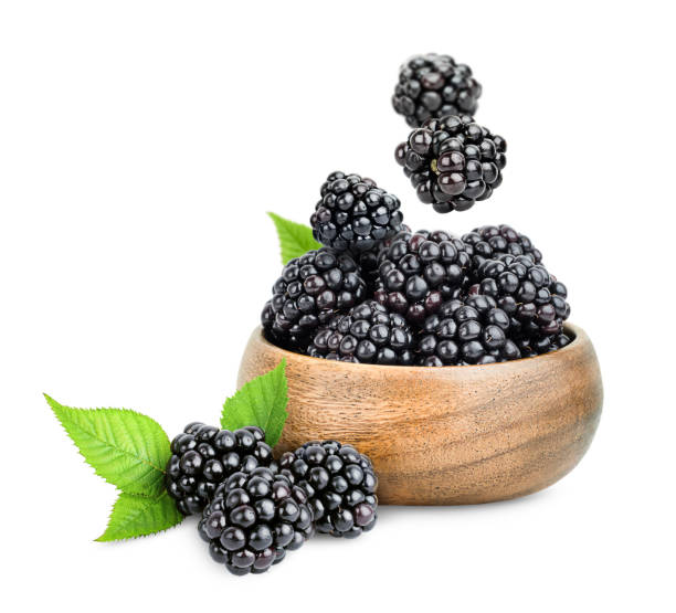 blackberry plate plate with fresh blackberries and falling berries on a white isolated background brambleberry stock pictures, royalty-free photos & images