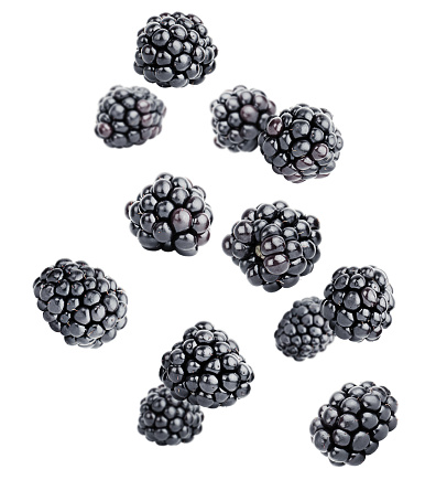 levitating fresh blackberry on a white isolated background