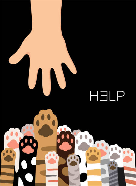 Extend a Helping Hand to Animals Extend a Helping Hand to Animals animal hand stock illustrations