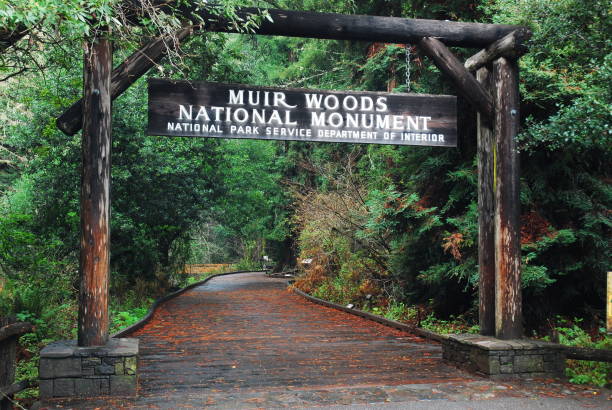 a entrada para muir woods - sequoia national forest - fotografias e filmes do acervo