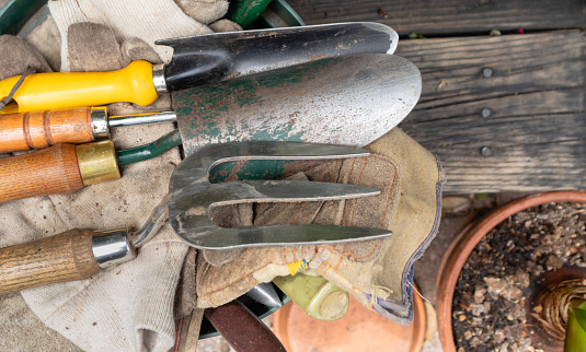 Gardening tools close-up view. Lifestyle concept