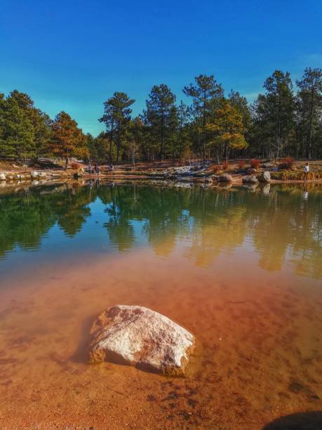 istock Pond, with negative space, blue sky and clear water 1401441112