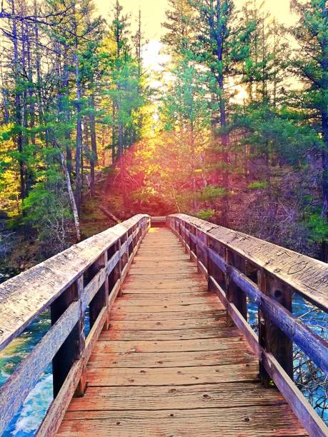 istock Bridge near Burney Falls, California 1401441113