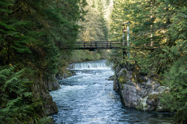 Camping, hiking, swimming and enjoying the canyon, forest, and waterfalls at Fillmore Glen State Park New York