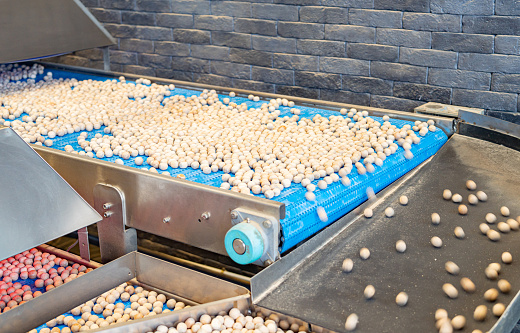 conveyor belt for cleaning and sorting nuts in a factory.