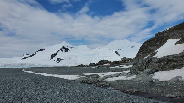 istock Half Moon Island Antarctica 1401447179