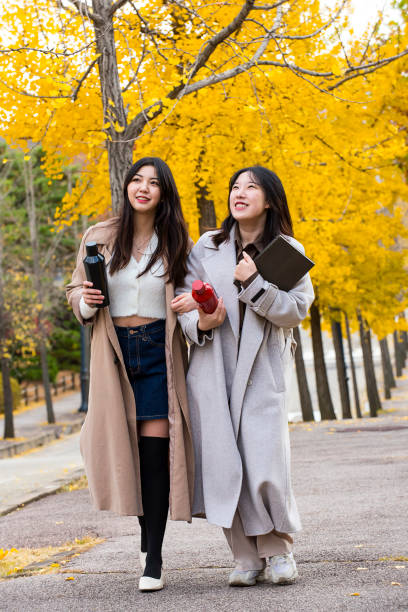 istock Fall campus lifestyle of female college students 1401447907