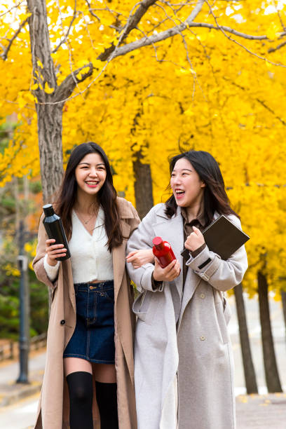 istock Fall campus lifestyle of female college students 1401447912