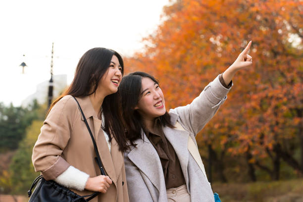 istock Fall campus lifestyle of female college students 1401447914