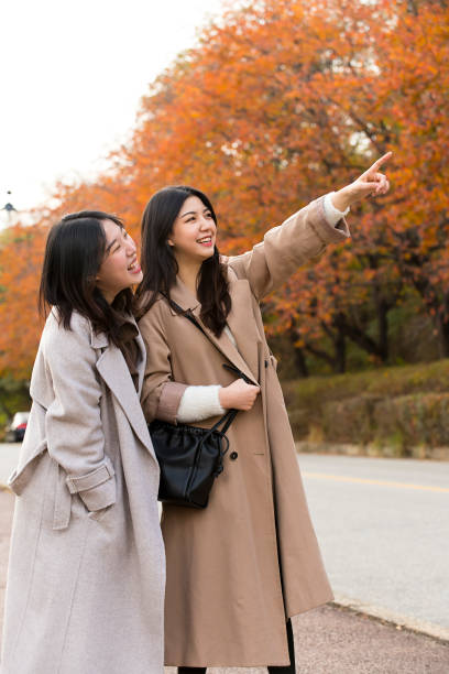 istock Fall campus lifestyle of female college students 1401447919