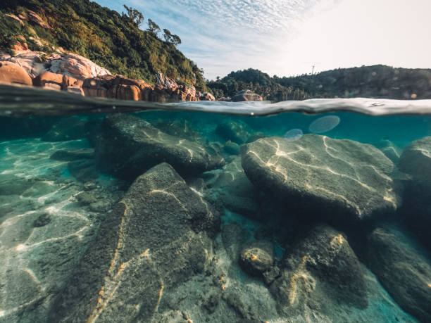 istock Underwater at the beach on the island 1401452751