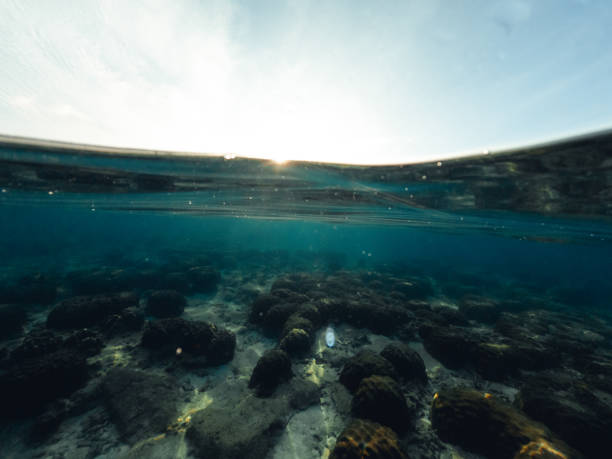 istock Underwater at the beach on the island 1401452767