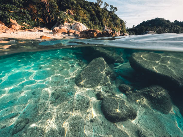 istock Underwater at the beach on the island 1401452770