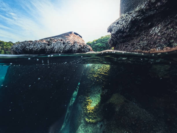 istock Underwater at the beach on the island 1401452780
