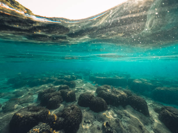 istock Underwater at the beach on the island 1401452790