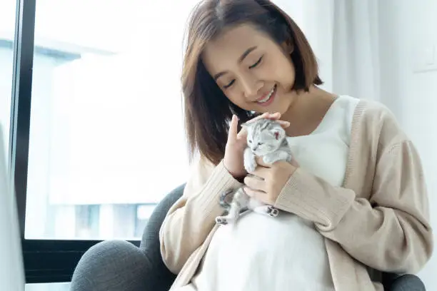 Photo of Portrait of young Asian pregnant with kitten