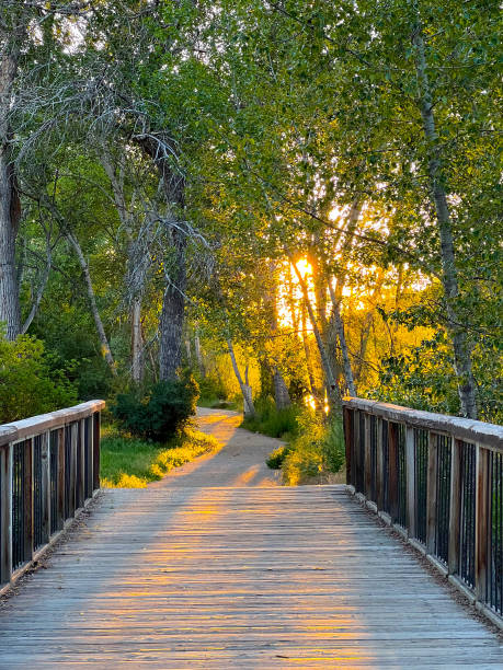 istock Boise River greenbelt trail in Boise, Idaho 1401455950