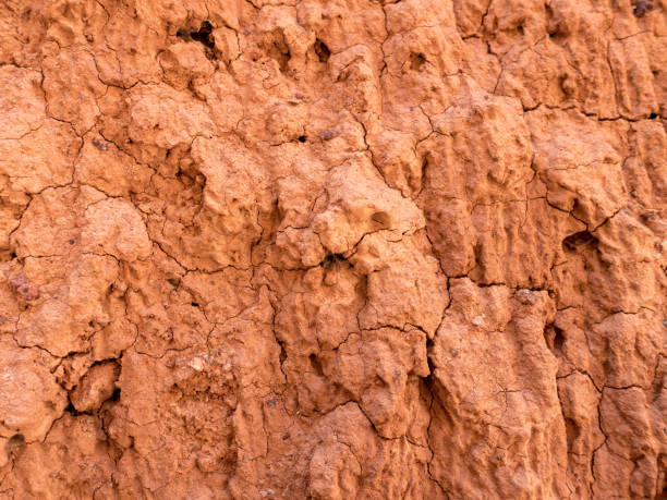istock Texture of red clay. Natural natural patterns. Dry red background closeup. 1401458279