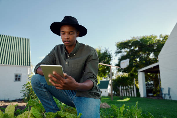 istock Mixed race male farmer working in vegetable garden holding digital tablet 1401460493