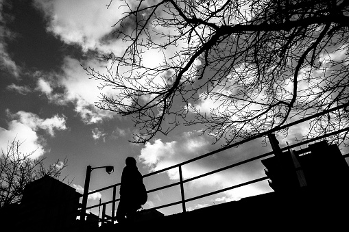 Tree, street, man silhouette