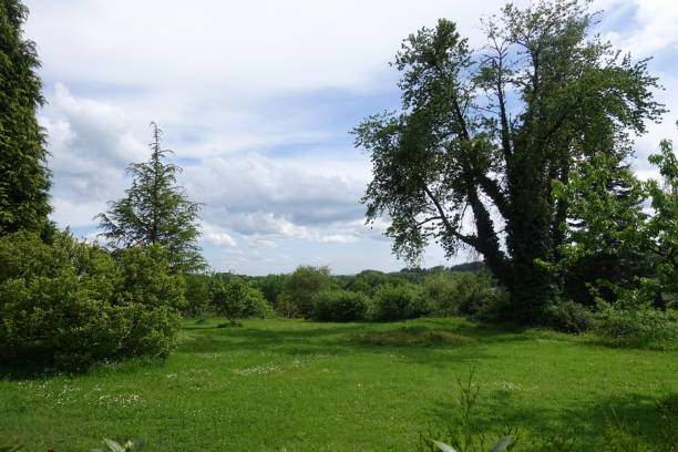 istock Garden of greenery  Season Spring 1401469346